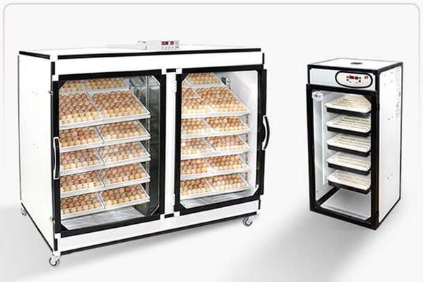 دستگاه جوجه کشی